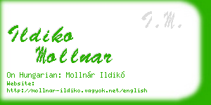 ildiko mollnar business card